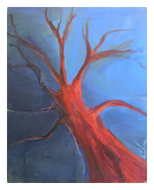 Orange Tree Blue SKy