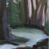 River Study I